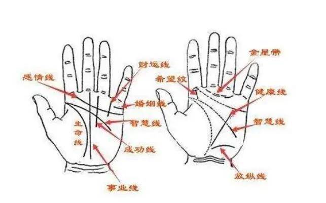 什么手相的人命中注定富贵发达、事业有成、婚姻和睦、福寿双全