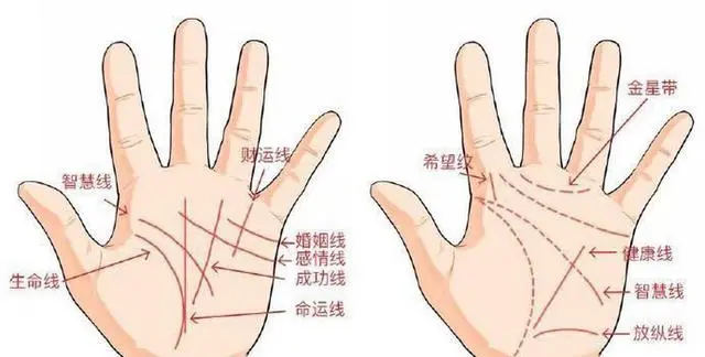 手相婚姻线只有一条线|一个男人的手相婚姻线的插图 （3）.