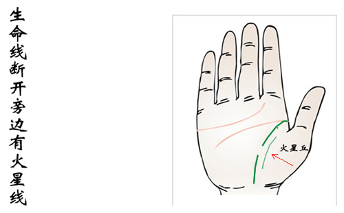 算命手相|手相算命大师：手相生命线图与生命线分叉