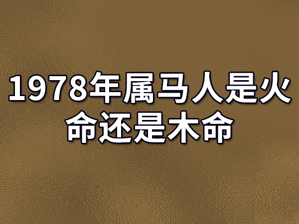 马属马|要小心！马年出生的人在这个年龄会遇到大麻烦！