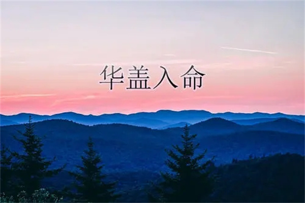 八字财运看天干还是地支_从八字看财运_八字财运看哪个