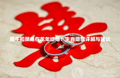 属牛和属兔在龙年结婚？生肖婚配详解与建议