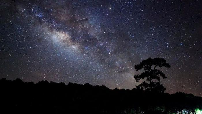 事业成功的星座女强人_十二星座职场女强人_十二星座女事业成功率的排名