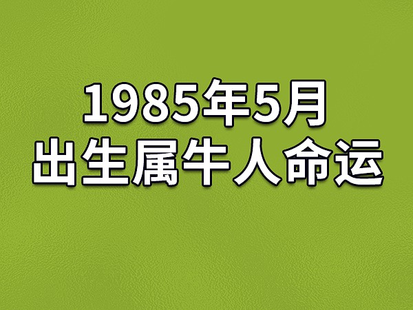 测运势事业免费测试_算事业运势免费网站_免费事业运势测算