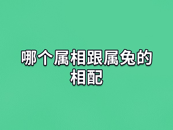 属羊婚配属相|羊与哪个生肖最相配？兔还是马？