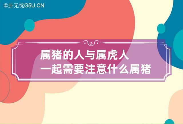 夫妻都是86年属虎好吗|2015年属虎和属猪的人可以结婚吗？