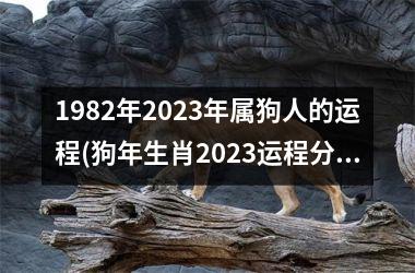 属相狗2024年运势|1982年出生的人2024年狗年运势详解