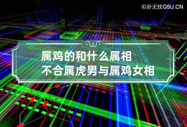 属鸡与什么属相相克|鸡年出生的人与哪些人不相配？