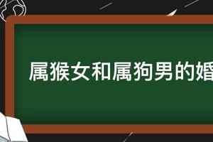 女属狗和男属兔|1999年属兔女与1992年属猴男婚姻配对详解