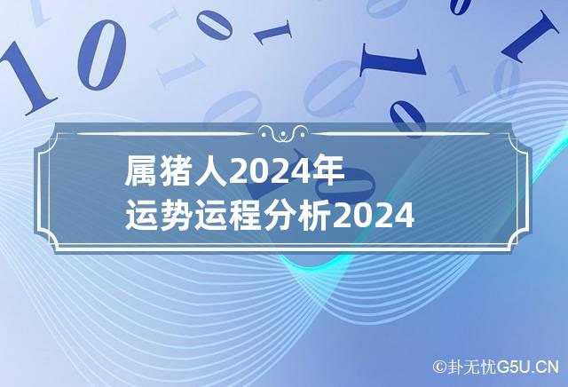 属猪2024年每月运程|2024年猪人每月运势及运程