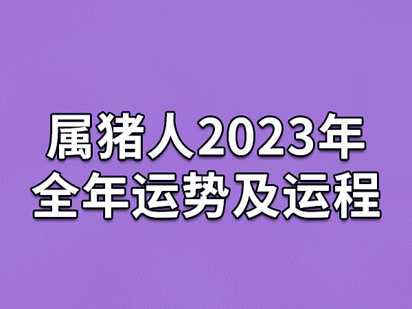 属猪2024年每月运程|2024年猪人每月运势