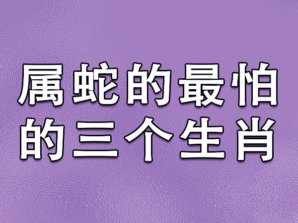 属猪的有哪些年份1971|2024年猪年各年份出生的人运势