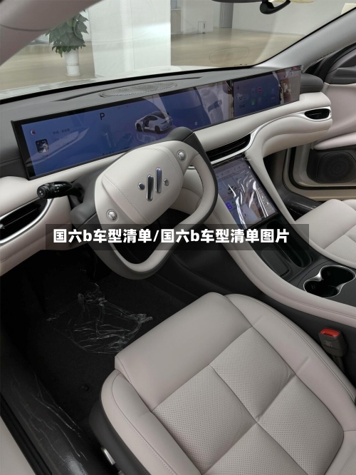 国六b车型清单/国六b车型清单图片-第2张图片