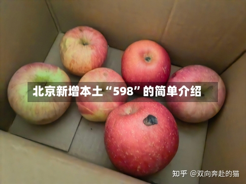 北京新增本土“598	”的简单介绍-第2张图片
