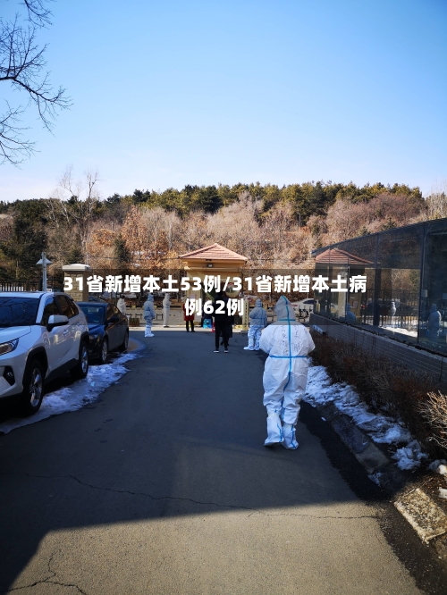 31省新增本土53例/31省新增本土病例62例