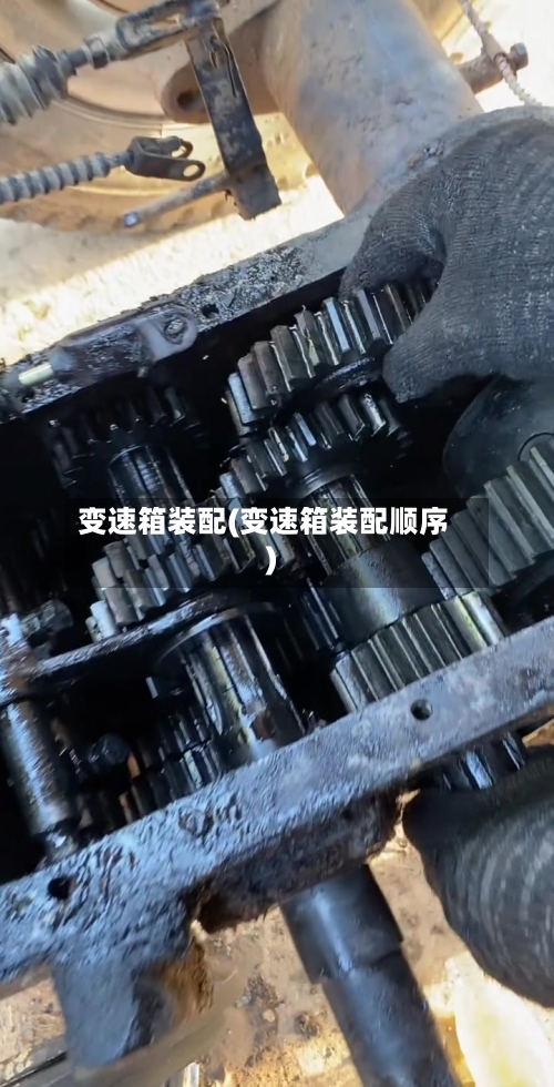 变速箱装配(变速箱装配顺序)-第3张图片