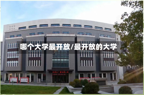 哪个大学最开放/最开放的大学