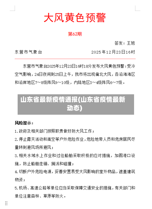 山东省最新疫情通报(山东省疫情最新动态)-第2张图片