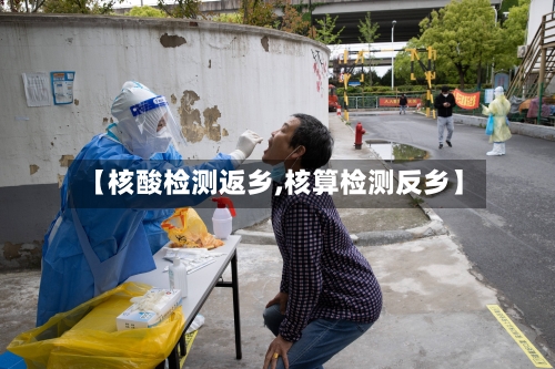 【核酸检测返乡,核算检测反乡】-第3张图片