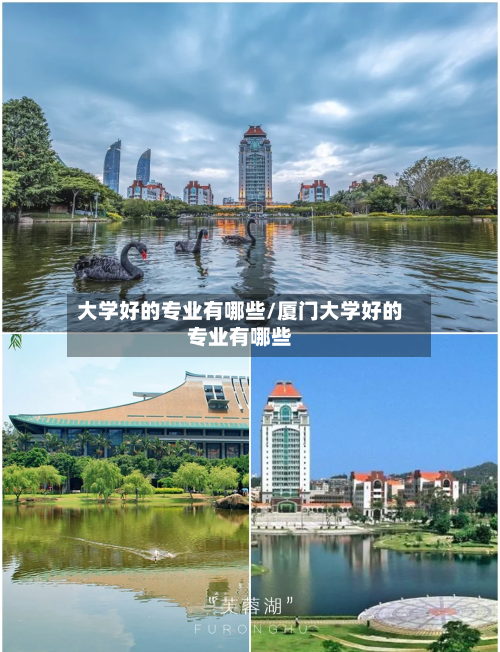 大学好的专业有哪些/厦门大学好的专业有哪些