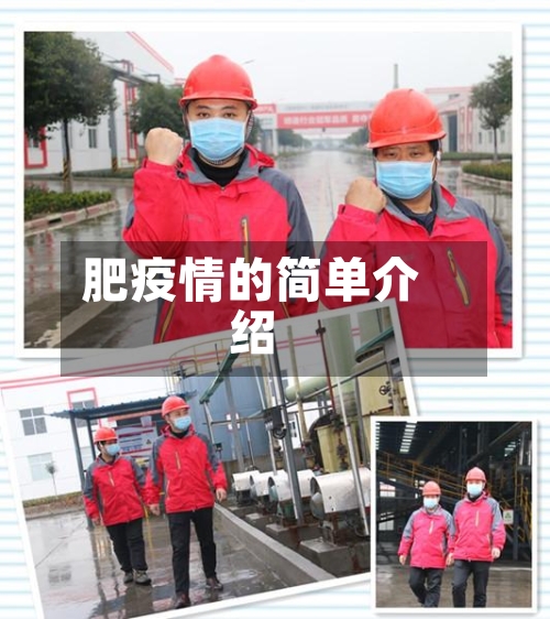 肥疫情的简单介绍-第2张图片