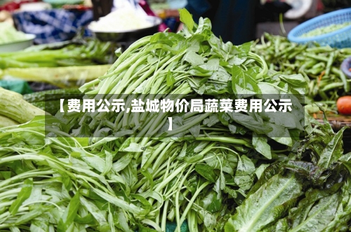 【费用公示,盐城物价局蔬菜费用公示】-第2张图片