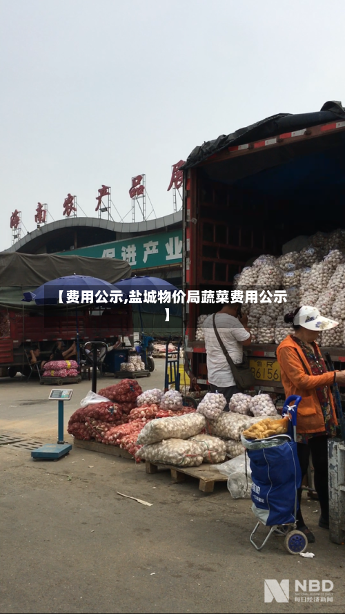 【费用公示,盐城物价局蔬菜费用公示】