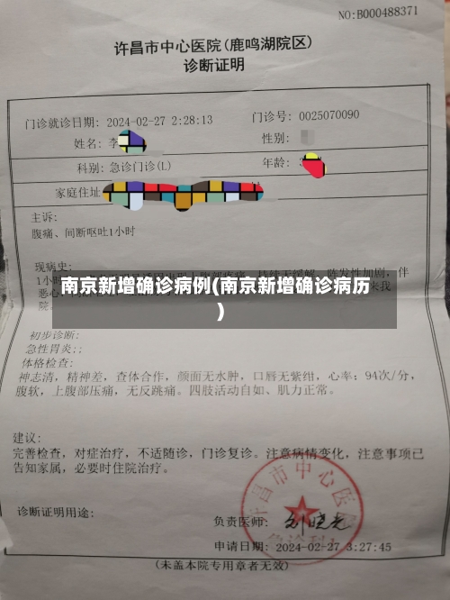南京新增确诊病例(南京新增确诊病历)-第2张图片