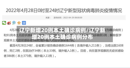 辽宁新增20例本土确诊病例/辽宁新增20例本土确诊病例分布-第2张图片