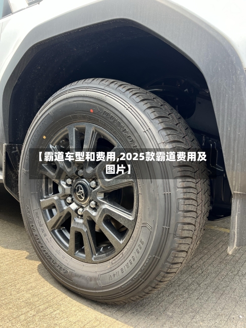 【霸道车型和费用,2025款霸道费用及图片】-第3张图片