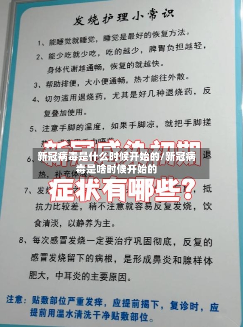 新冠病毒是什么时候开始的/新冠病毒是啥时候开始的-第2张图片