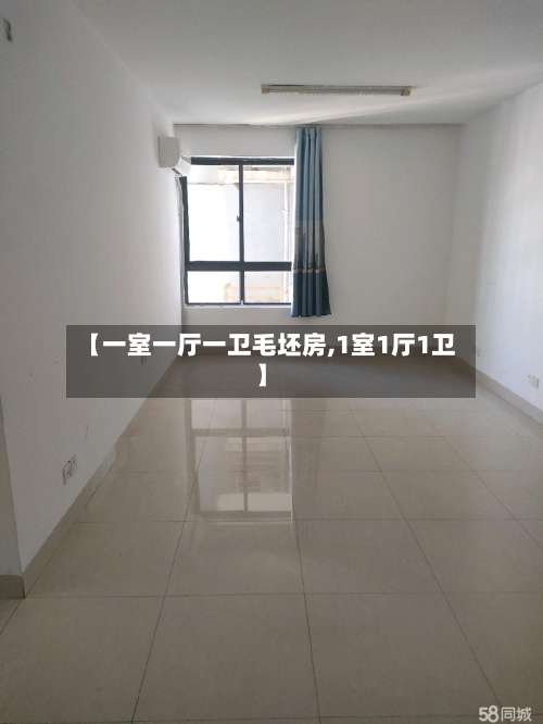 【一室一厅一卫毛坯房,1室1厅1卫】-第2张图片