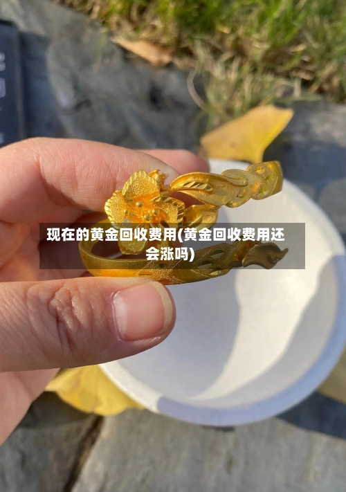 现在的黄金回收费用(黄金回收费用还会涨吗)-第2张图片
