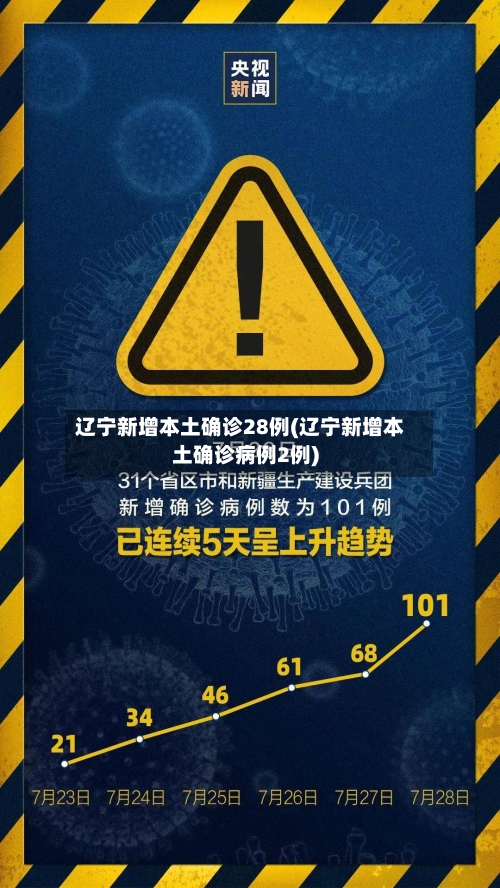 辽宁新增本土确诊28例(辽宁新增本土确诊病例2例)-第2张图片