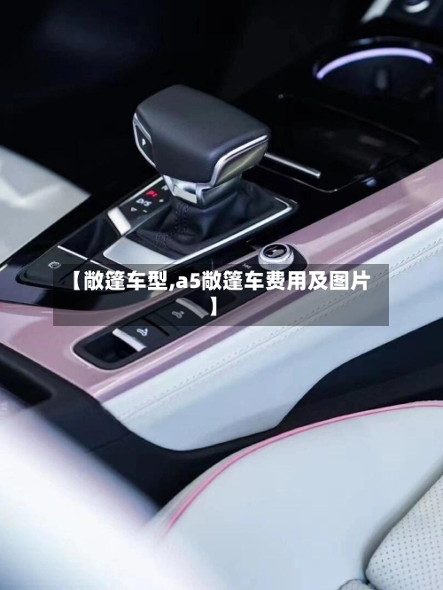 【敞篷车型,a5敞篷车费用及图片】