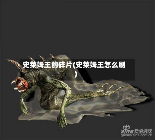 史莱姆王的碎片(史莱姆王怎么刷)