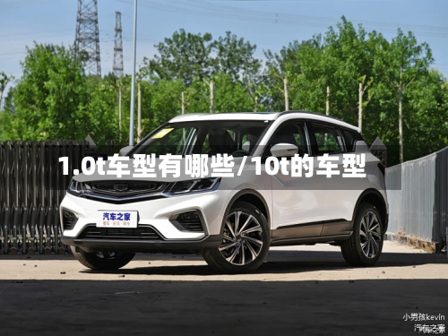1.0t车型有哪些/10t的车型-第3张图片
