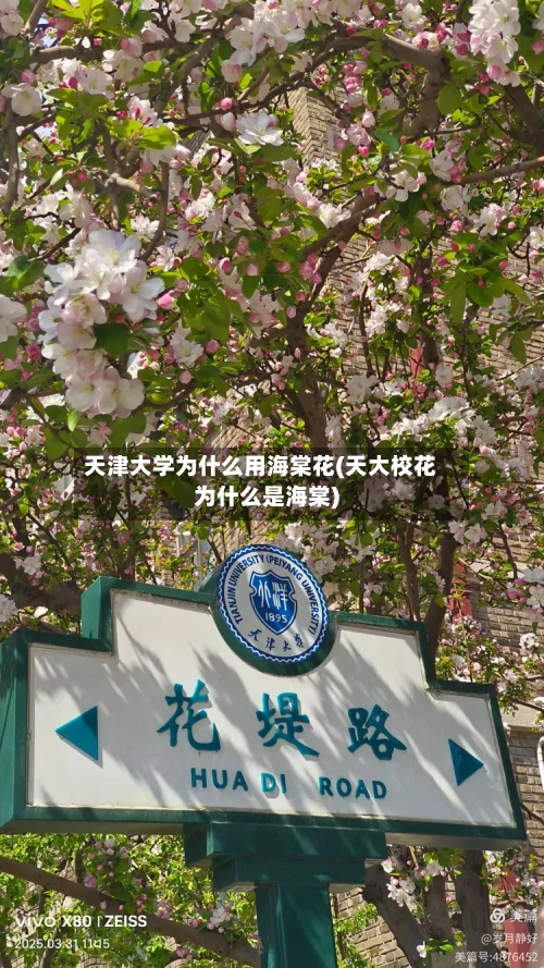 天津大学为什么用海棠花(天大校花为什么是海棠)-第2张图片