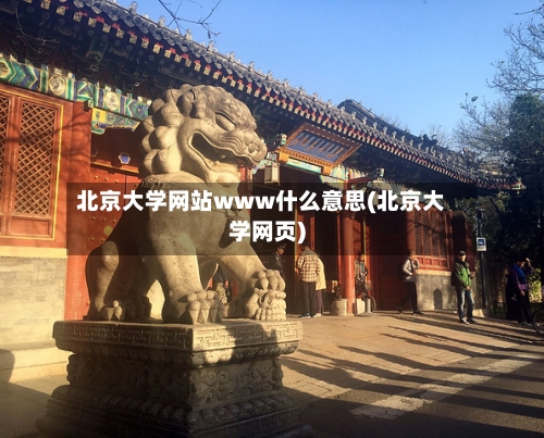 北京大学网站www什么意思(北京大学网页)-第2张图片