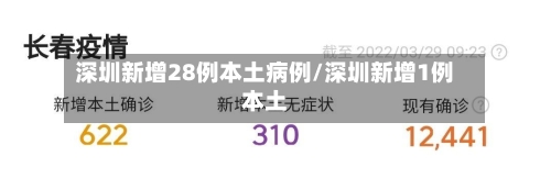 深圳新增28例本土病例/深圳新增1例本土