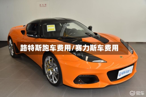 路特斯跑车费用/赛力斯车费用-第2张图片