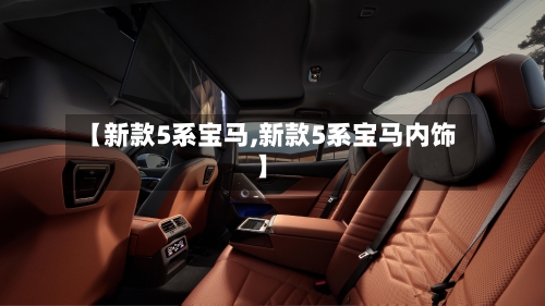 【新款5系宝马,新款5系宝马内饰】-第2张图片