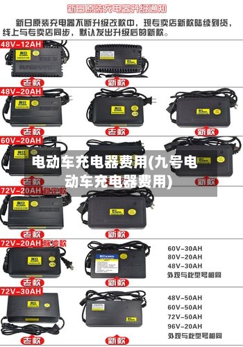 电动车充电器费用(九号电动车充电器费用)-第3张图片