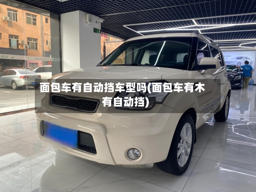 面包车有自动挡车型吗(面包车有木有自动挡)-第3张图片