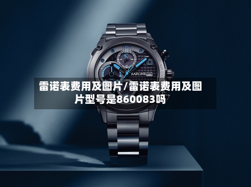 雷诺表费用及图片/雷诺表费用及图片型号是860083吗-第2张图片