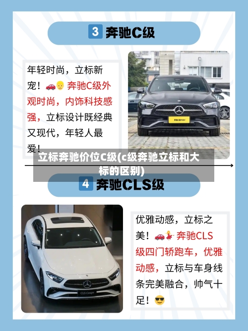 立标奔驰价位C级(c级奔驰立标和大标的区别)-第3张图片