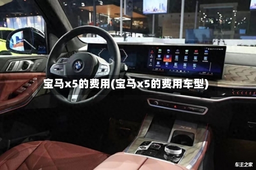 宝马x5的费用(宝马x5的费用车型)-第2张图片