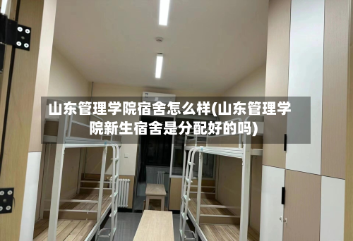 山东管理学院宿舍怎么样(山东管理学院新生宿舍是分配好的吗)