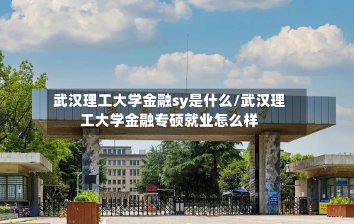 武汉理工大学金融sy是什么/武汉理工大学金融专硕就业怎么样