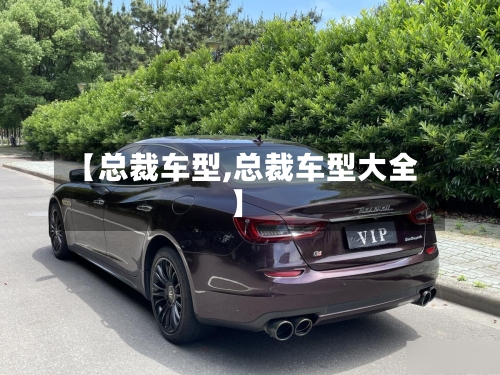 【总裁车型,总裁车型大全】-第3张图片